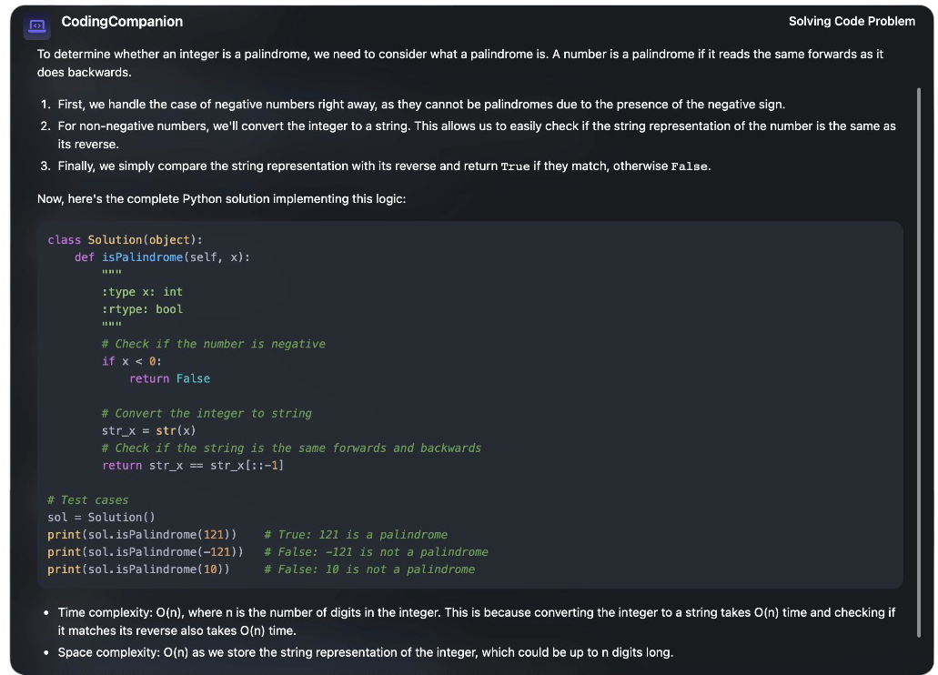 Developer using CodingCompanion